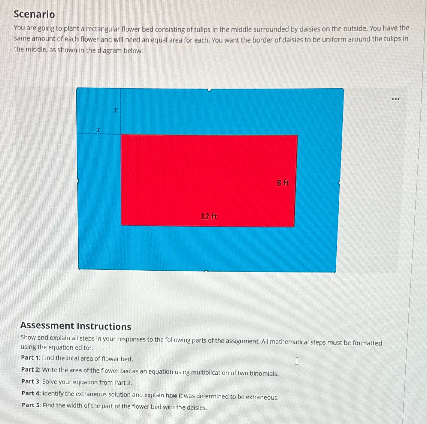 Scenario You are going to plant a rectangular