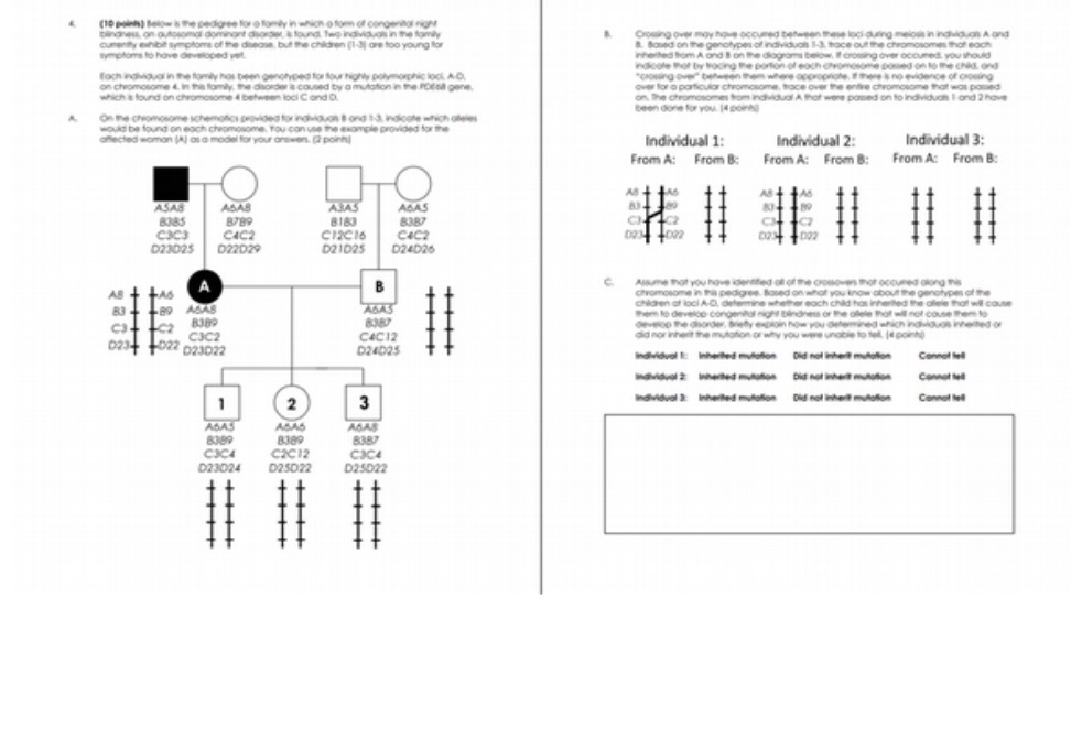 pingneu on outblond dominant dorte & found, leg