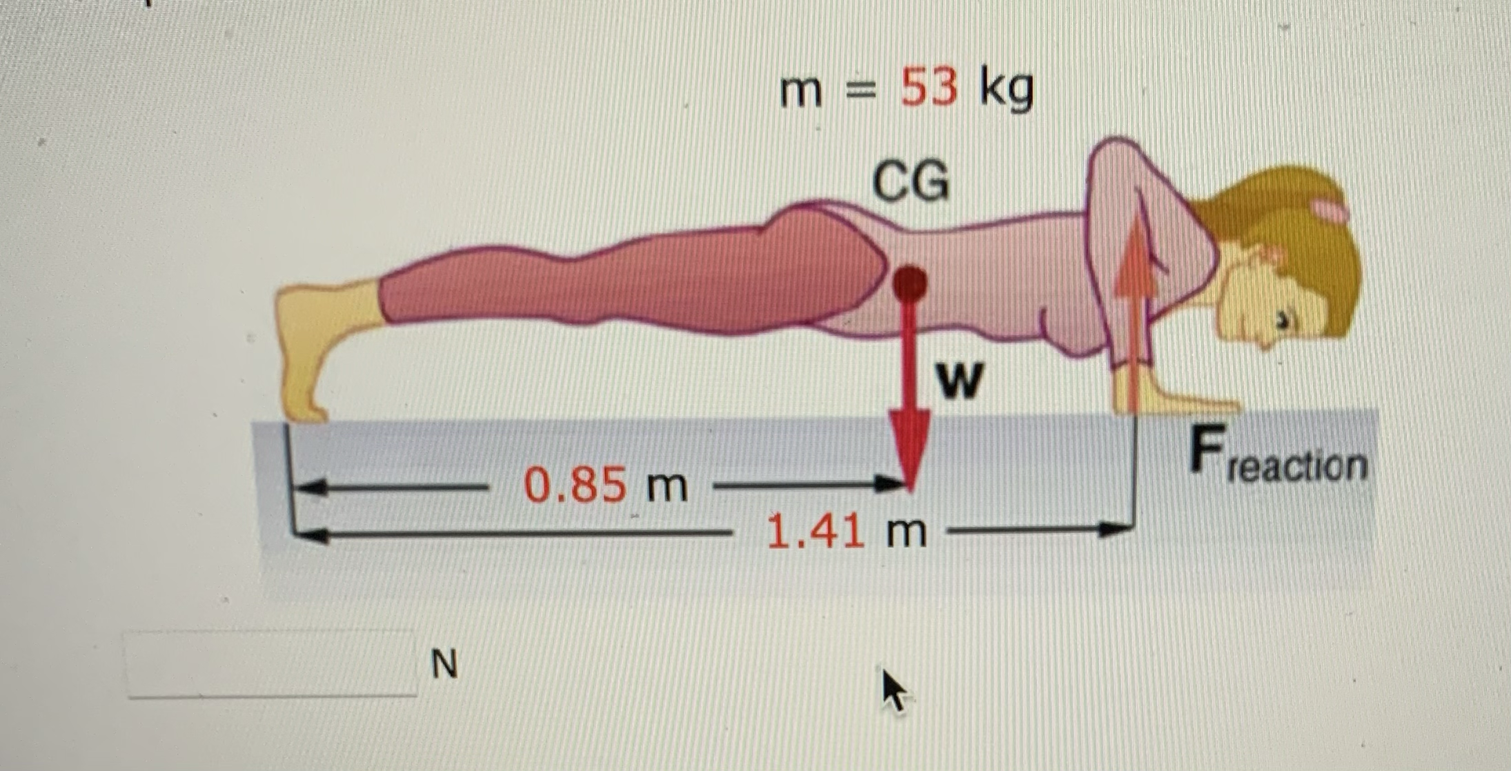 (a) Calculate the force (in N) the woman in the