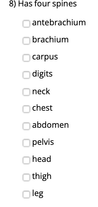 8) Has four spines antebrachium brachium carpus