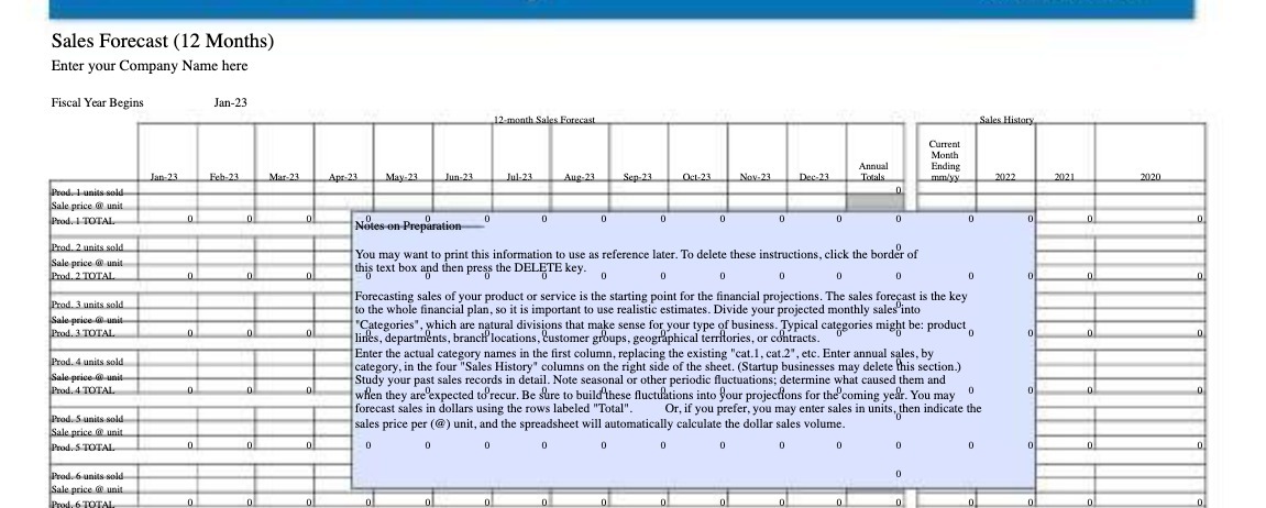 Sales Forecast (12 Months) Enter your Company