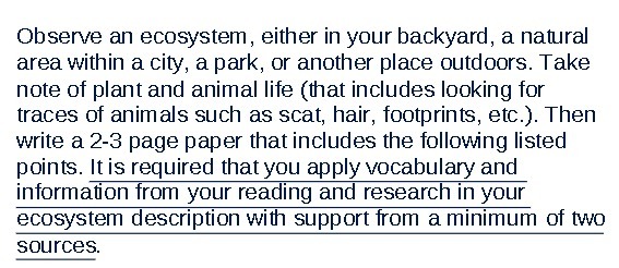 Observe an ecosystem, either in your backyard, a