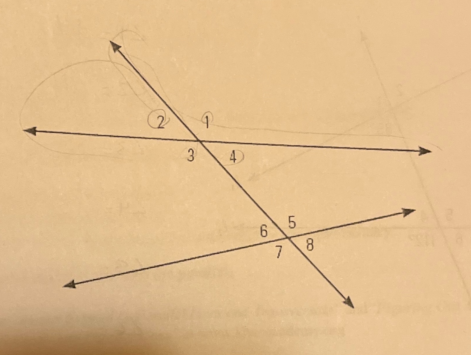 In the diagram below, measure and record the