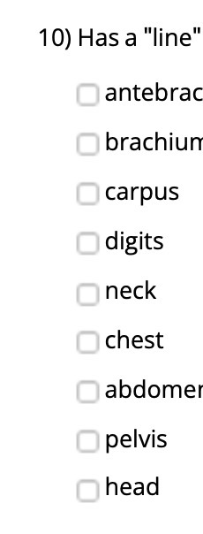 10) Has a "line antebrad brachiun O carpus digits