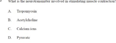 What is the neurotransmitter involved in
