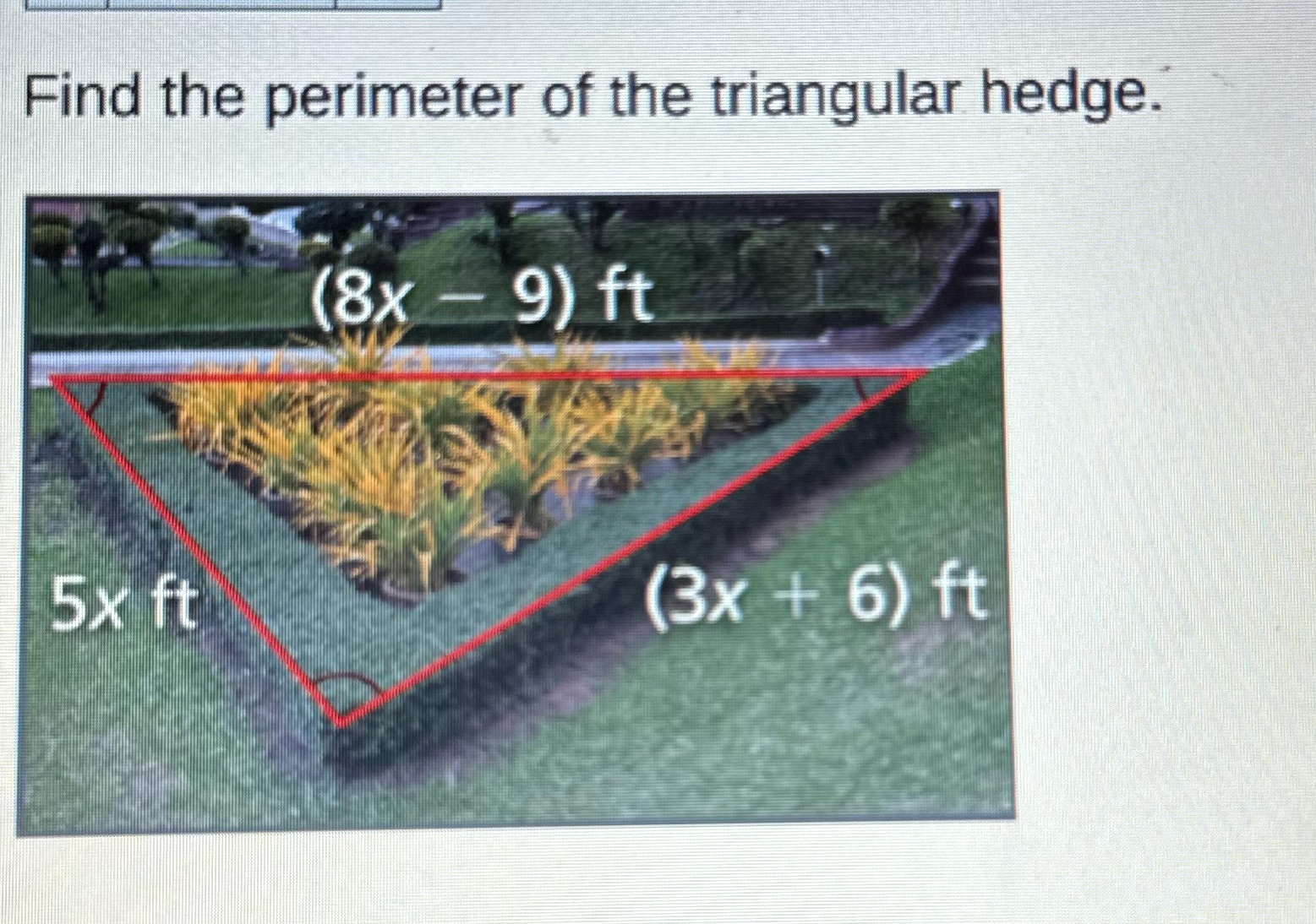 Find the perimeter of the triangular hedge. (8x -