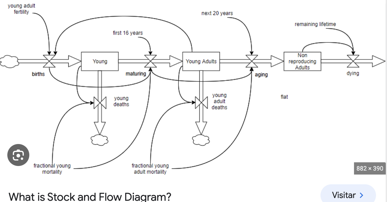 MAKE A 'STOCK AND FLOW DIAGRAM' USING THIS CAUSAL