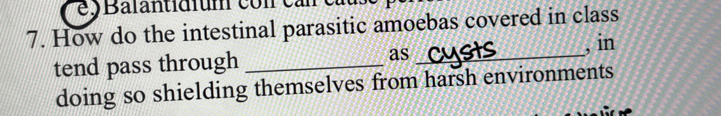 How do the intestinal parasitic amoebas covered