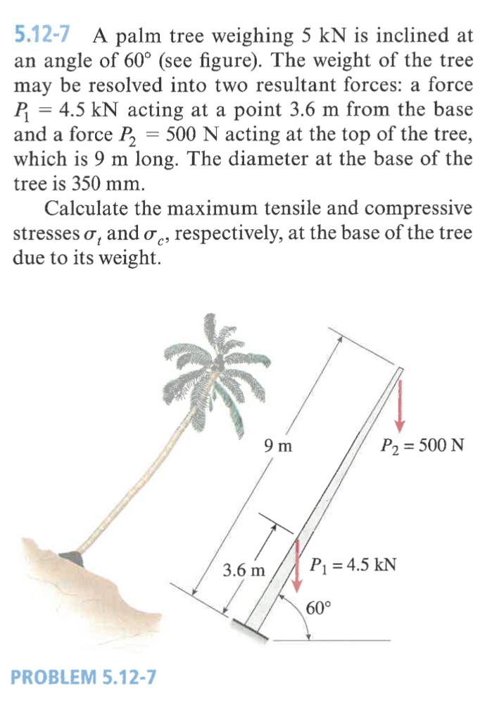 5 . 1 2 - 7 A palm tree weighing 5 k N is
