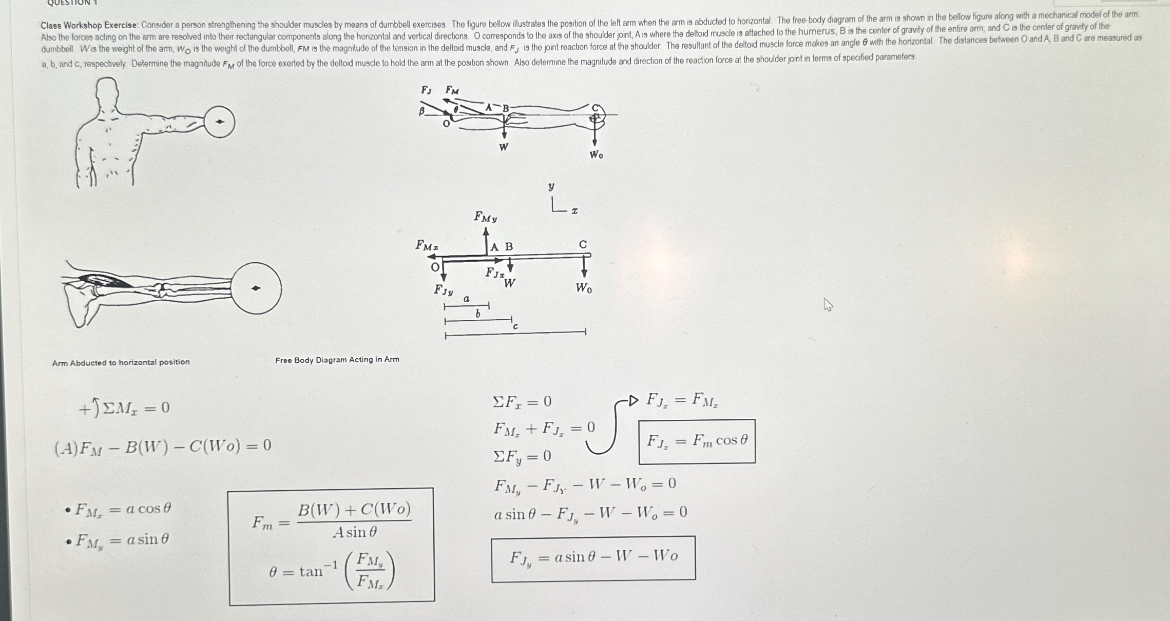 y Arm Abducted to horizontal position Free Body