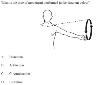 What is the type of movement performed in the