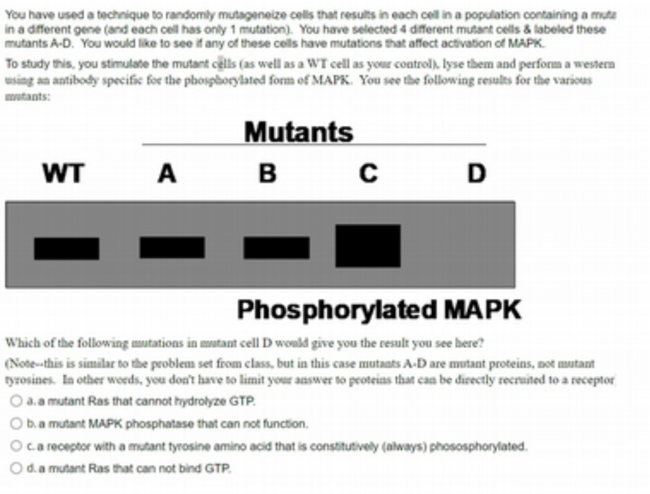 You have used a technique to randomly mutageneize