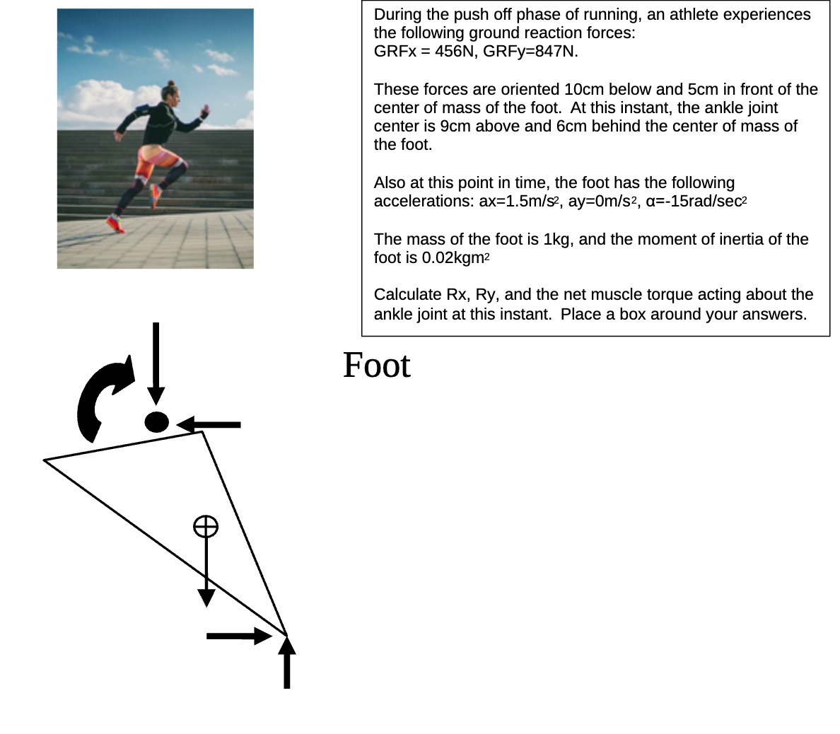 During the push off phase of running, an athlete