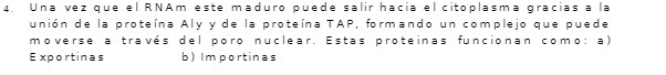 Una vez que el RNAm este maduro puede salir hacia