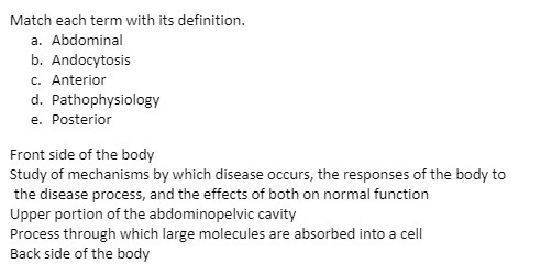 Match each term with its definition. a. Abdominal
