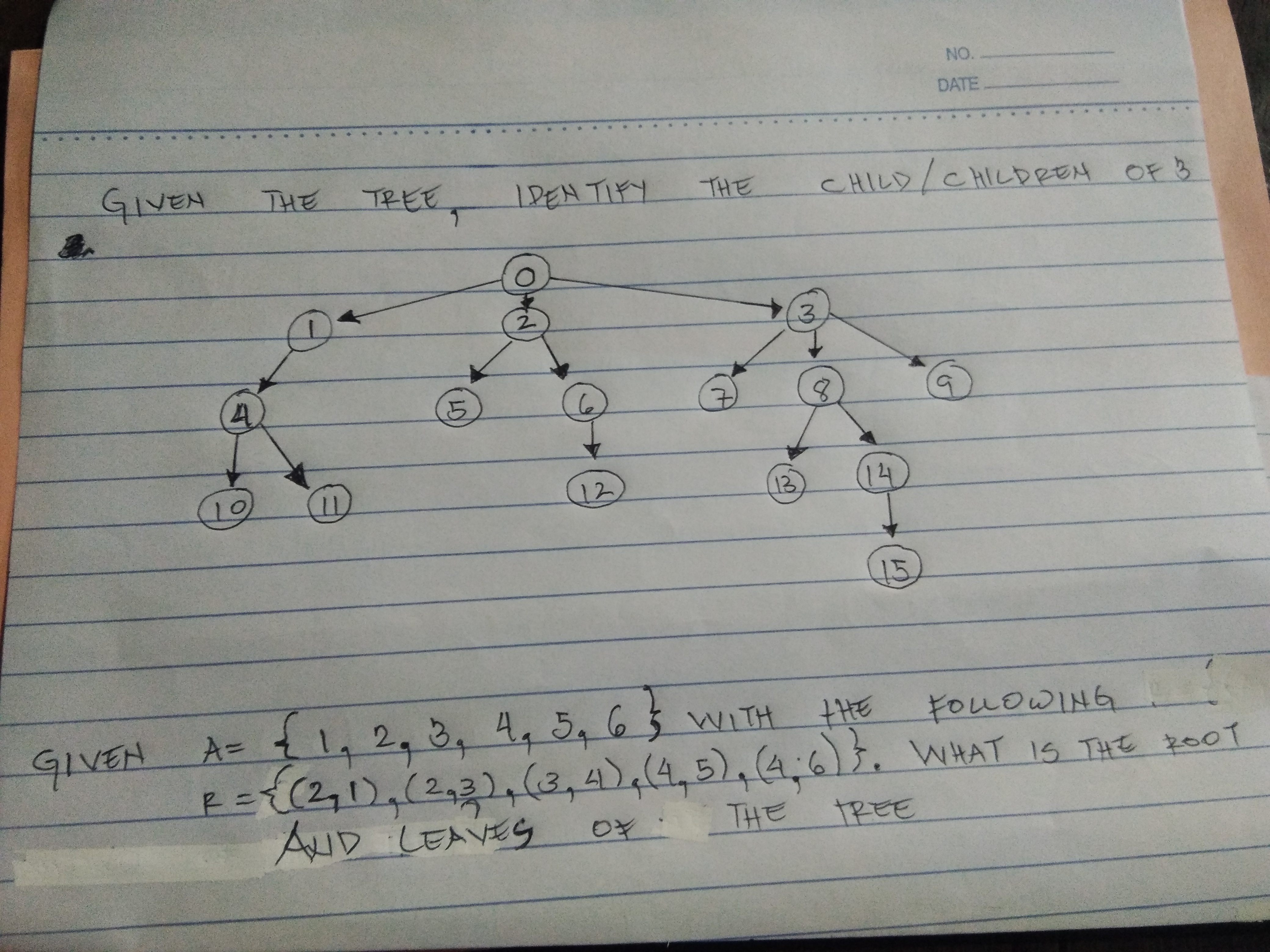 NO DATE GIVEN THE TREE IDENTIFY THE -CHILD /