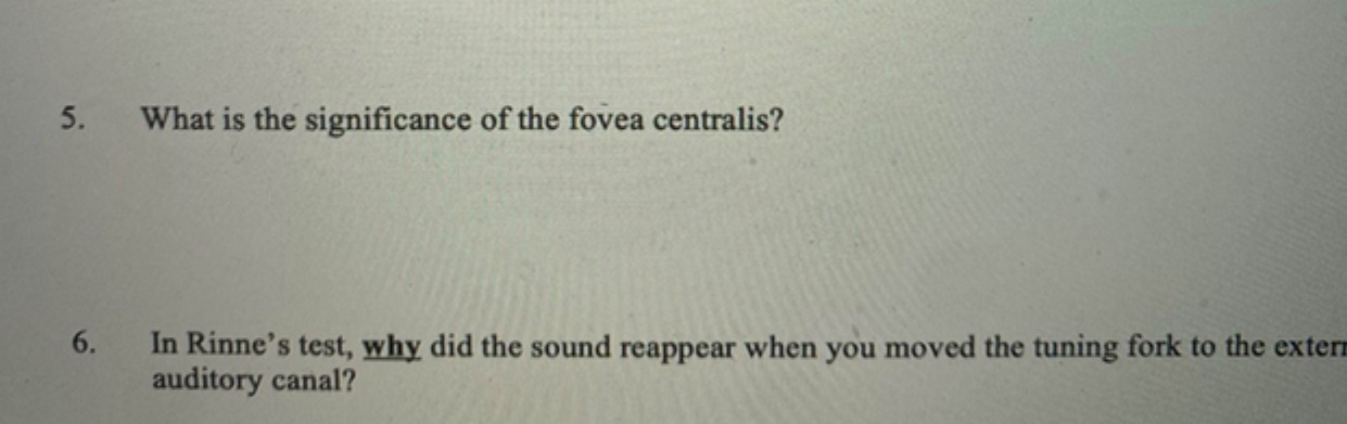 5. What is the significance of the fovea