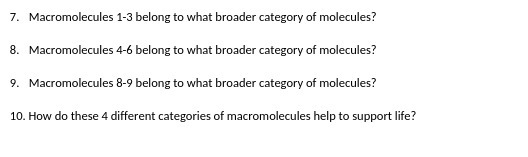 7. Macromolecules 1-3 belong to what broader