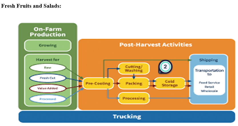 Chicken Sandwiches: Breeding Hatching Rearing