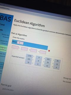 \f\fessment AdviceModular Arithmetics Please