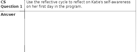 CS Use the reflective cycle to reflect on