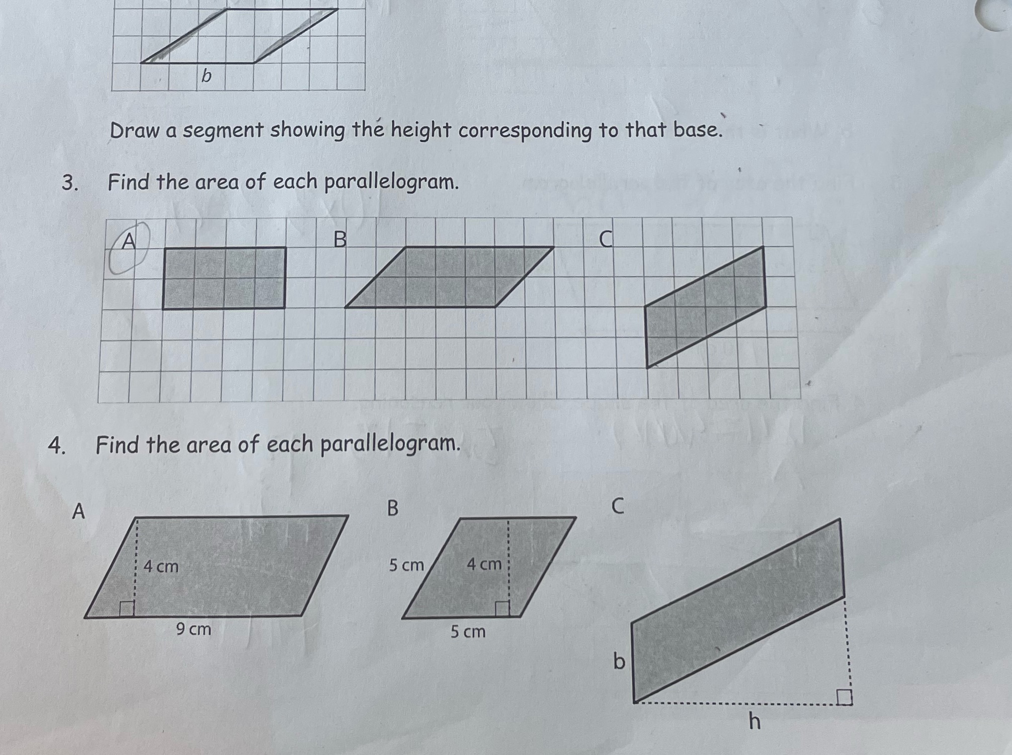 b Draw a segment showing the height corresponding