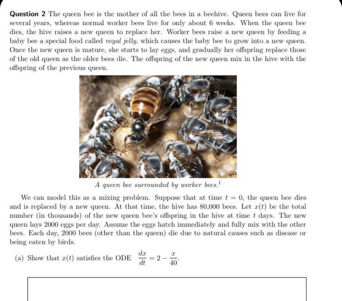 Question 2 The queen bee is the mother of all the