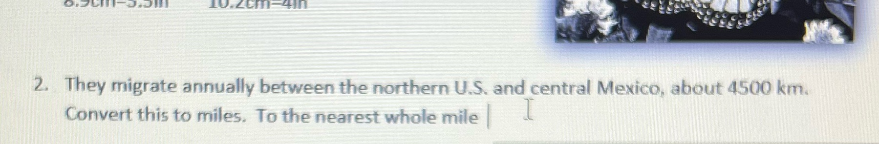 2. They migrate annually between the northern