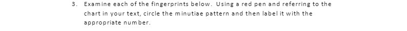 3. Examine each of the fingerprints below. Using