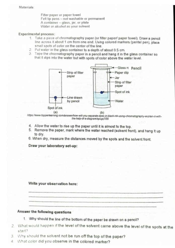 Materials Filter paper or paper towel Felt tip