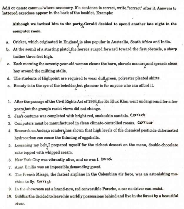 Add or delete commas where necessary. If a