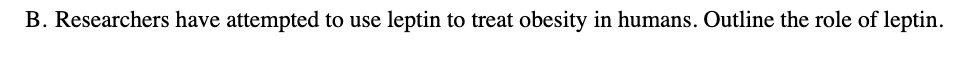 B. Researchers have attempted to use leptin to