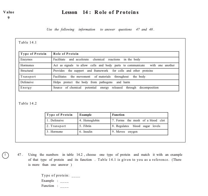 Value Lesson 14: Role of Proteins Use the