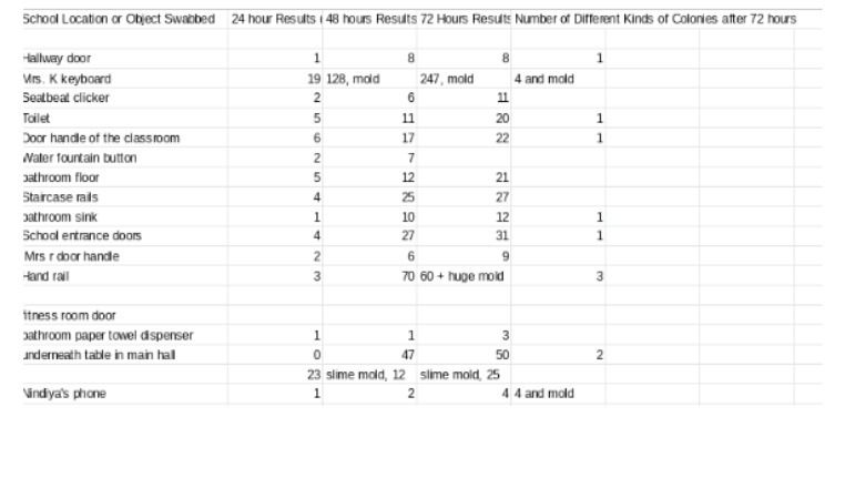 School Location or Object Swabbed 24 hour Results