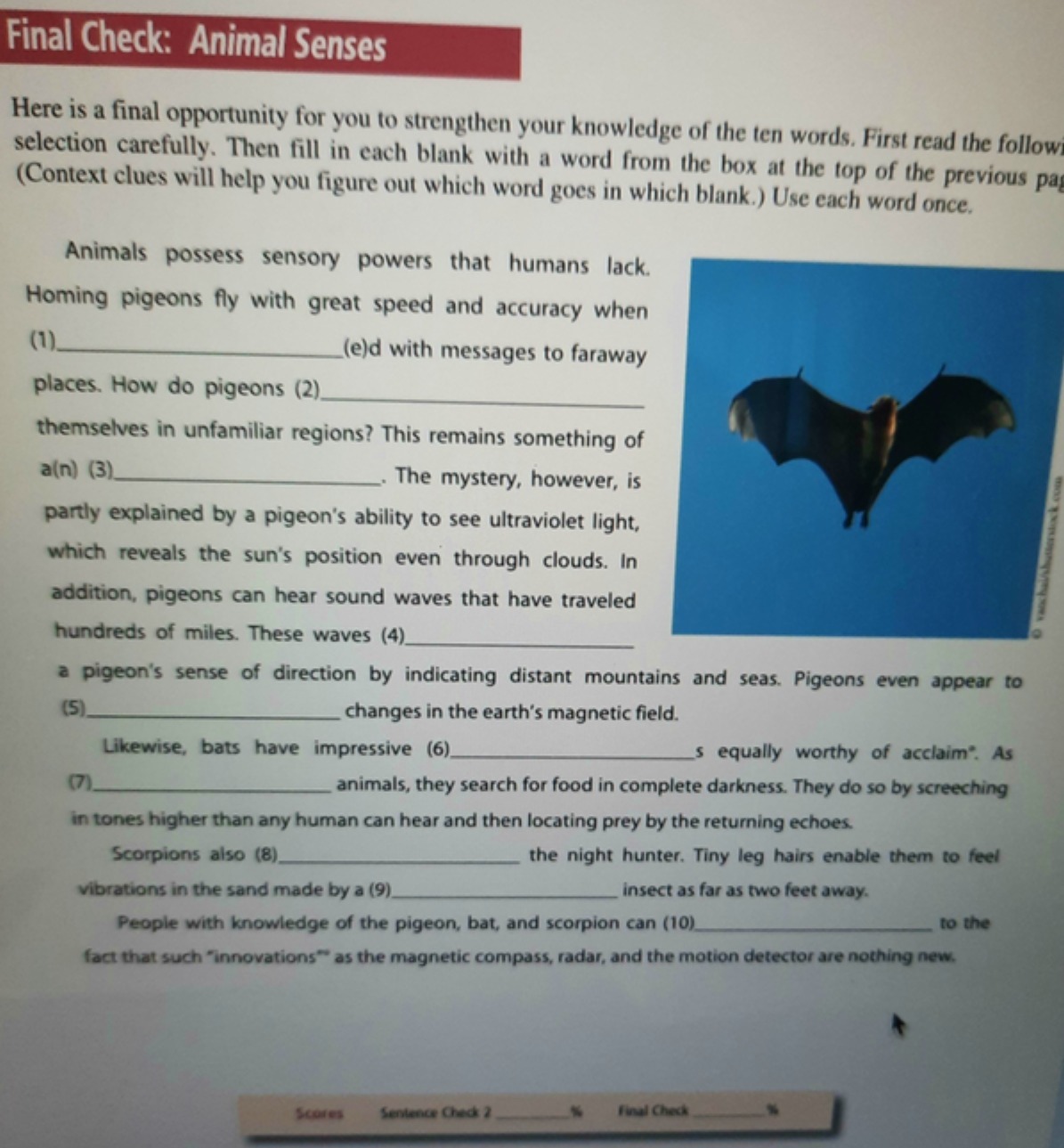 Final Check: Animal Senses Here is a final