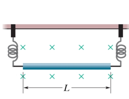 Good morning how are you I would like to know if