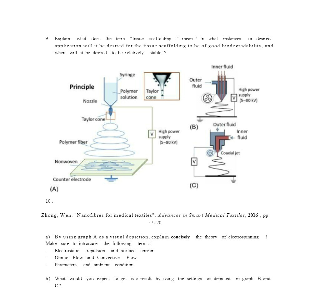 . Explain what does the term "tissue scaffolding