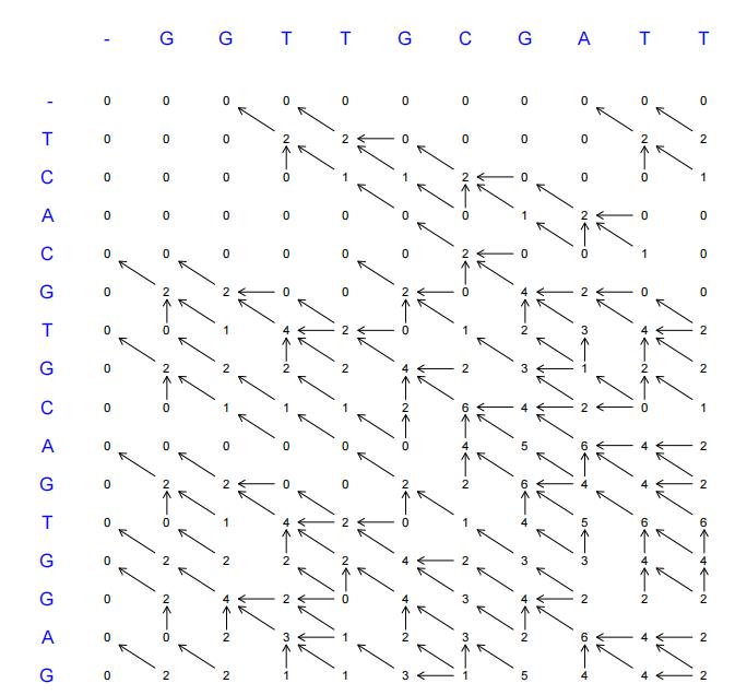 T T A G C G T T G 0 G 0 0 0 O O 2 0  style=