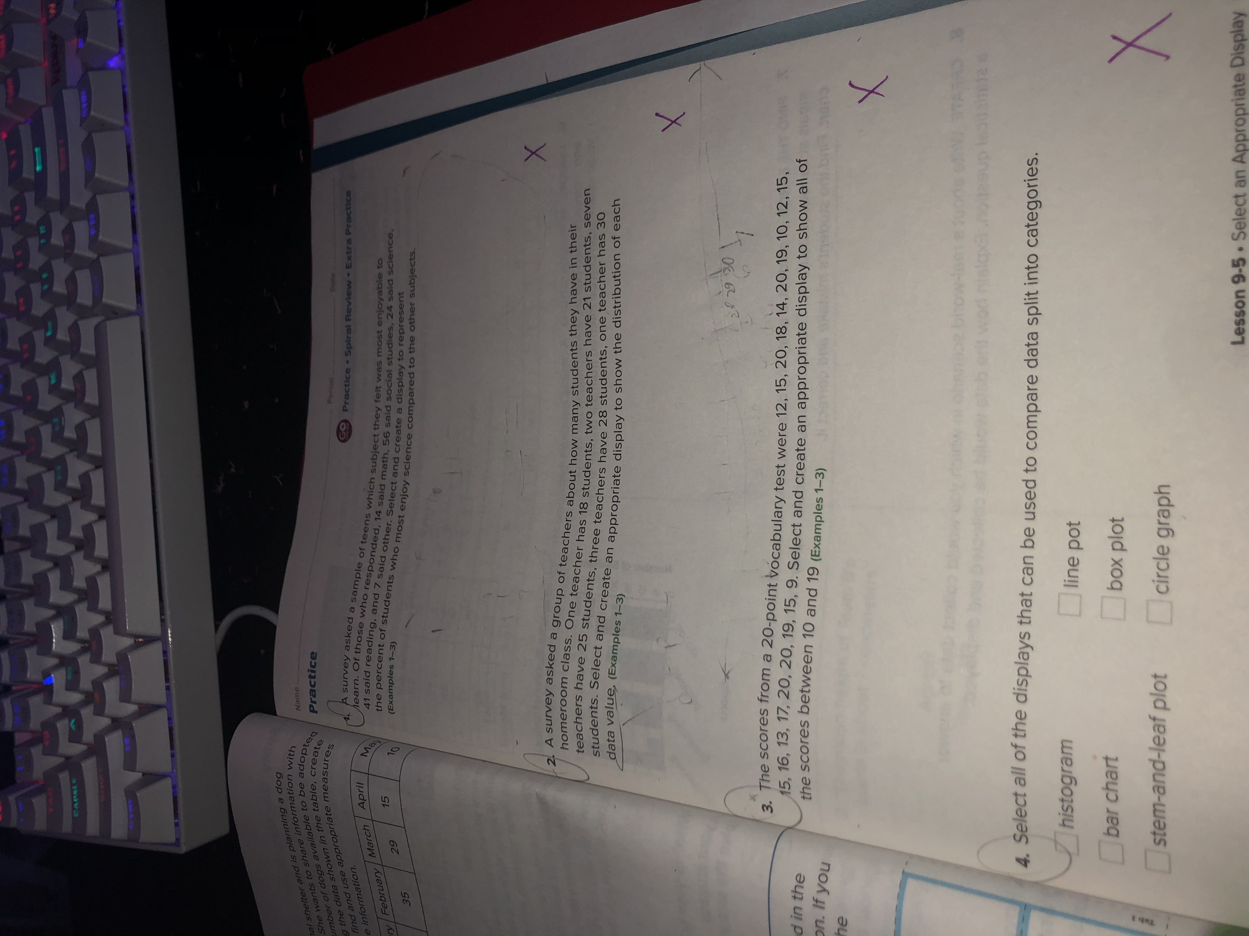 CAPEL al shelter and is planning a dog She wants