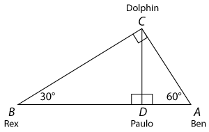 Rex, Paulo, and Ben are standing on the shore