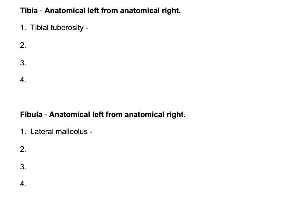 Tibia - Anatomical left from anatomical right. 1.