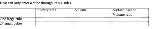 Heat can only enter a cube through its six sides.