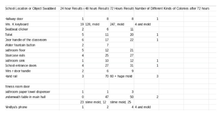 School Location or Object Swabbed 24 hour Results