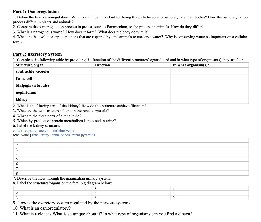Part 1: Osmoregulation 1. Define the term