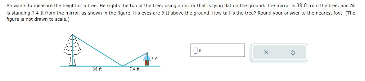 Ali wants to measure the height of a tree. He