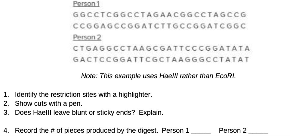 I\" Note: This example uses Haelll rather than