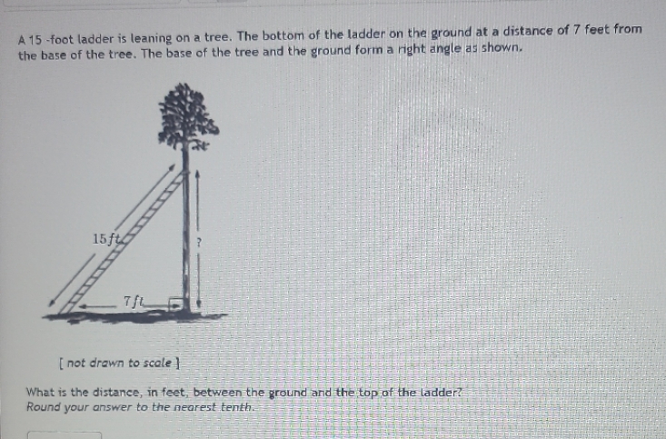 A 15 -foot ladder is leaning on a tree. The
