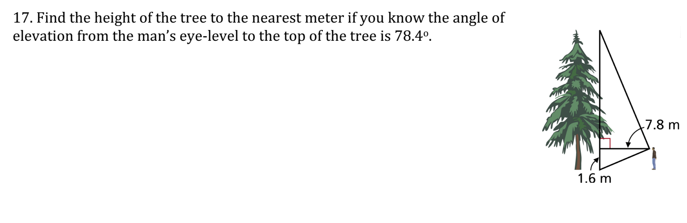Question below 17. Find the height of the tree to
