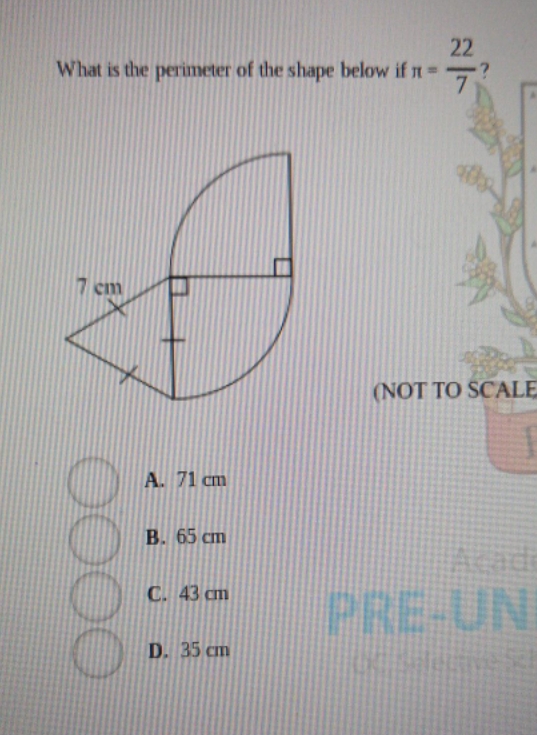 these are ur options 22 What is the perimeter of