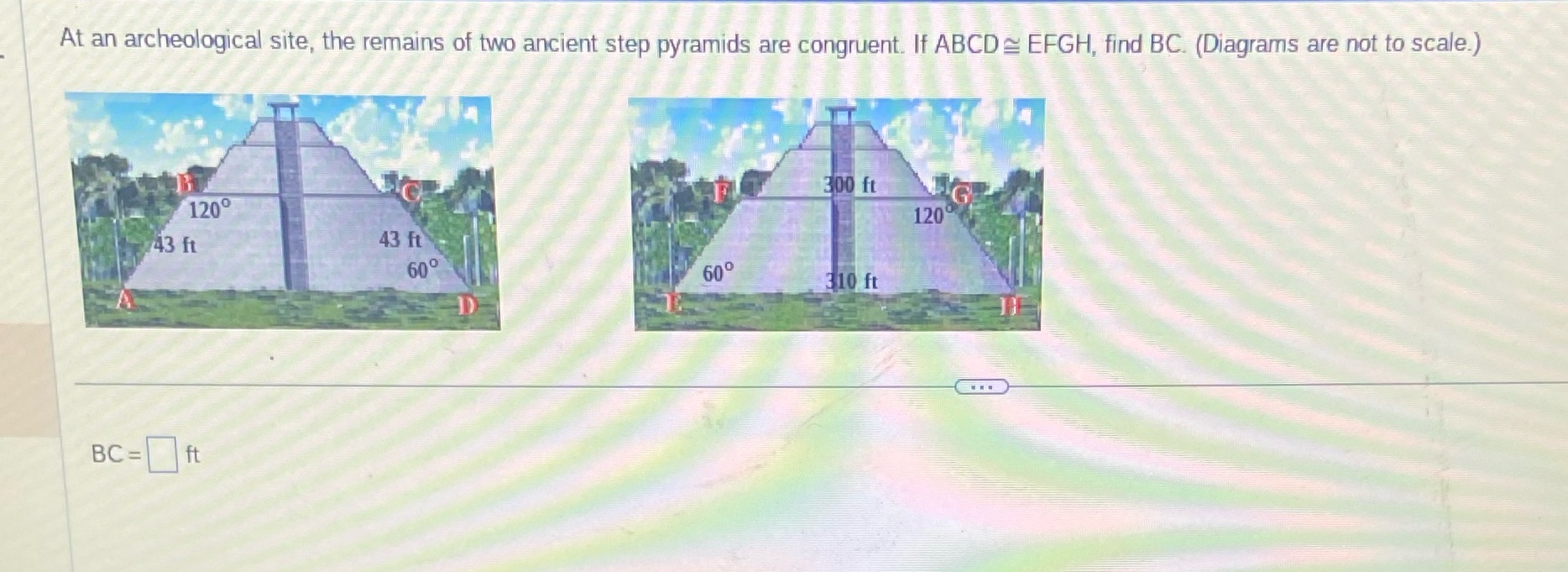 At an archeological site, the remains of two